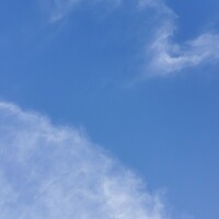 見てるだけ