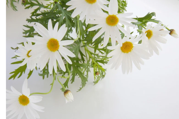 おはようございます🍑🫧