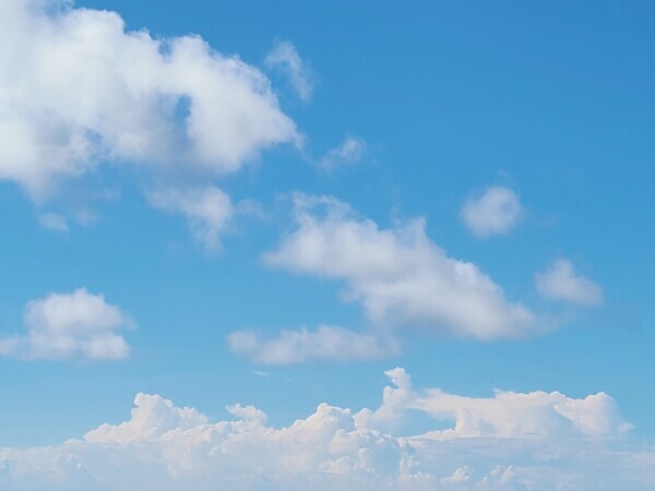 こんにちは☀️