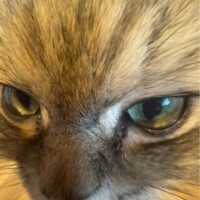 言葉わかってる？
