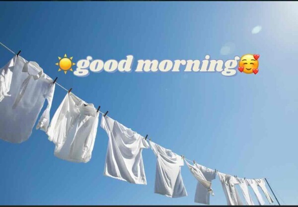 おはようございます☀️