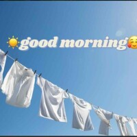 おはようございます☀️