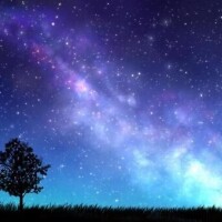 おやすみなさい