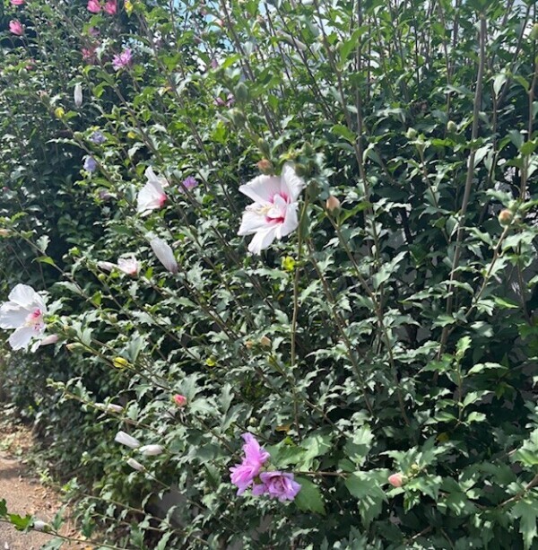 平凡な毎日の中で