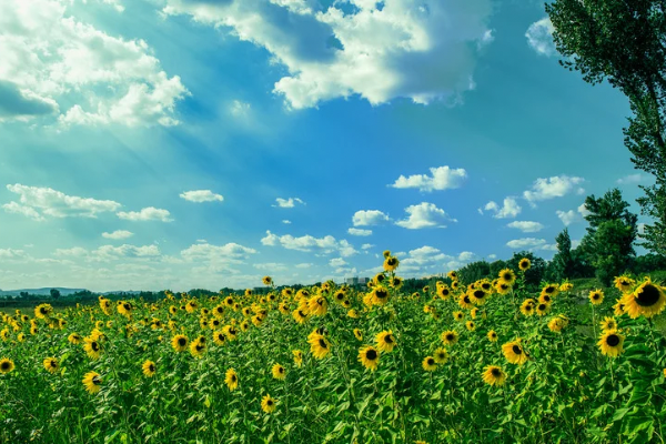 暑い日は涼しい空間でリフレッシュを✨