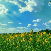 暑い日は涼しい空間でリフレッシュを✨