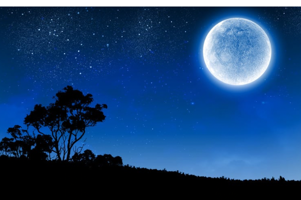 おやすみ前のありがとう💤🌙