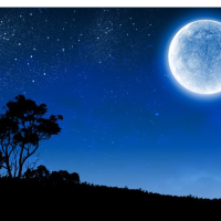 おやすみ前のありがとう💤🌙