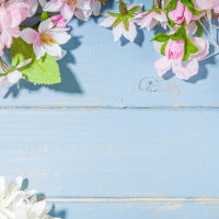 きょうは夜から🌃