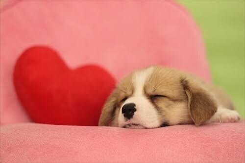 イライラしてませんか？