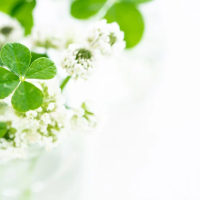 出会いに感謝しています🌷