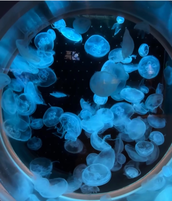 おはようございます