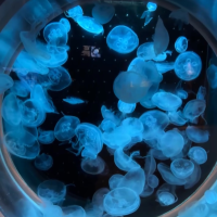 おはようございます