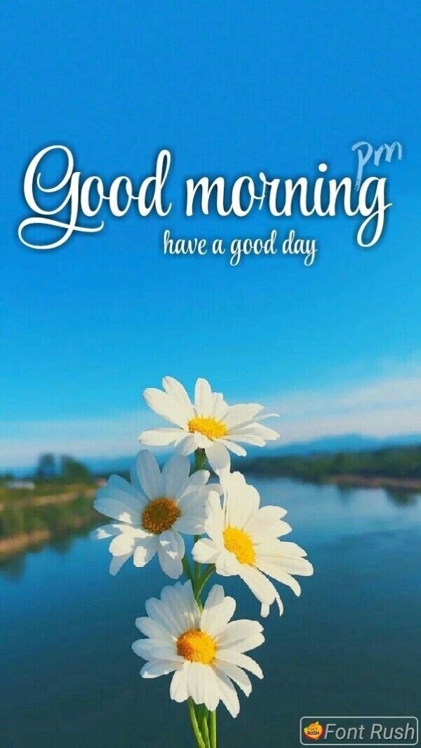 おはようございます♪