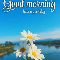 おはようございます♪