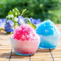 おはようございます