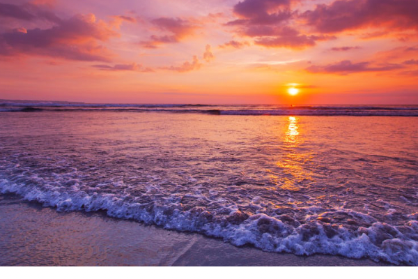 ありがとう🍒また明日😊