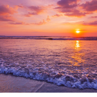 ありがとう🍒また明日😊