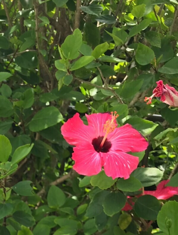 おはようございます