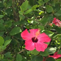 おはようございます