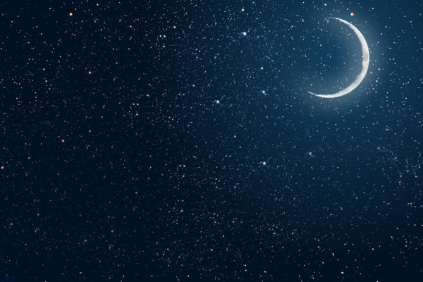 今日も一日おつかれさまでした 🌿