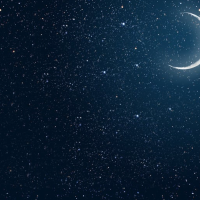 今日も一日おつかれさまでした 🌿