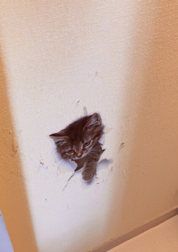 おはようございます