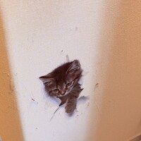 おはようございます