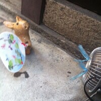 おはようございます！