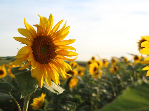 ありがとう😊このあとも🍀