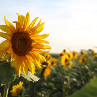 ありがとう😊このあとも🍀
