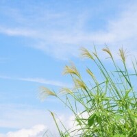 おはよう