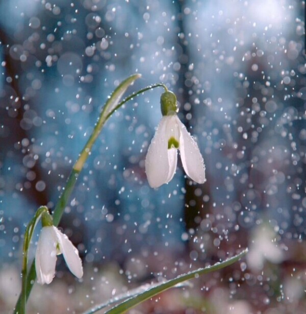 おはようございます