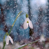 おはようございます