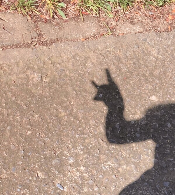 おはようございます