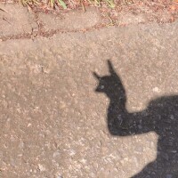 おはようございます