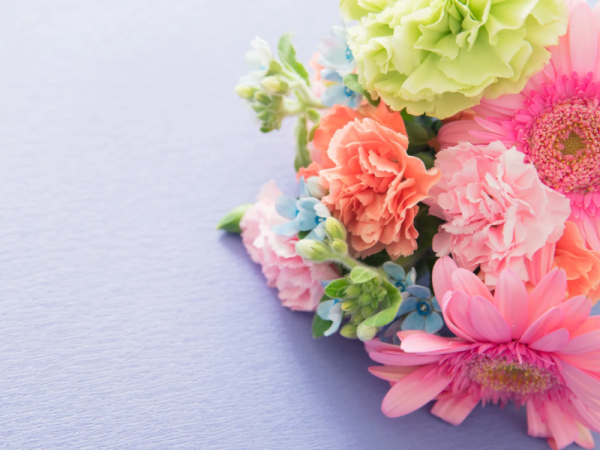 本日もありがとうございます😊✨