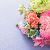 本日もありがとうございます😊✨