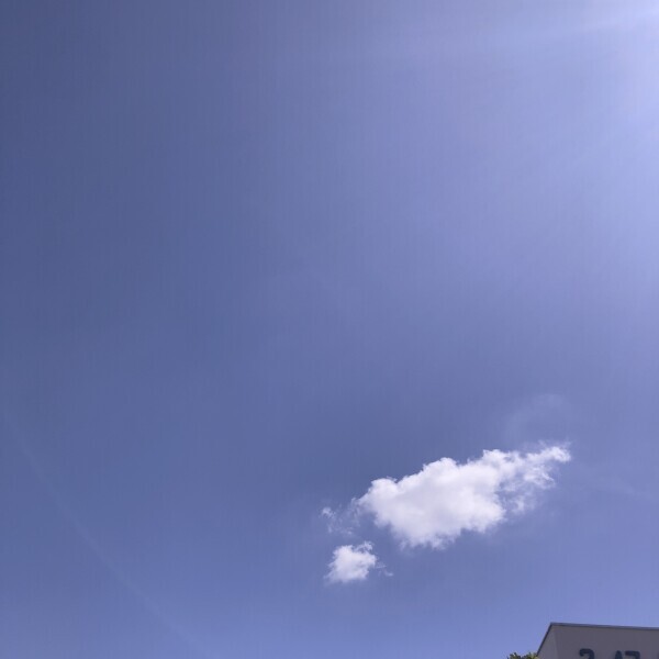 おはようございます