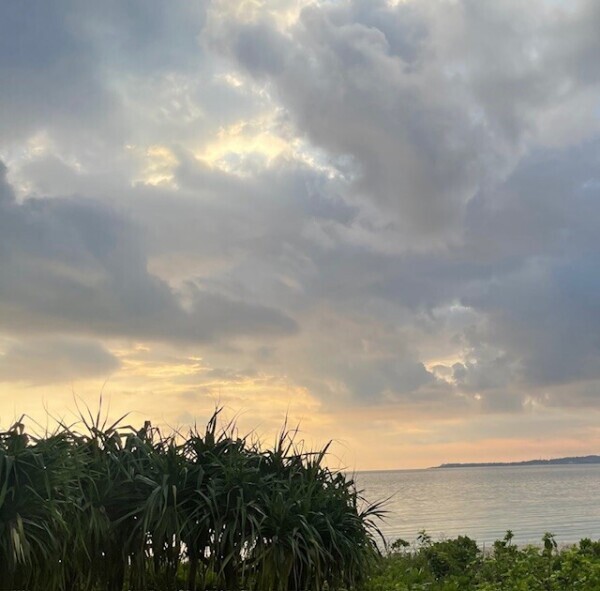 ハッピーサンデー出勤