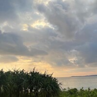 ハッピーサンデー出勤