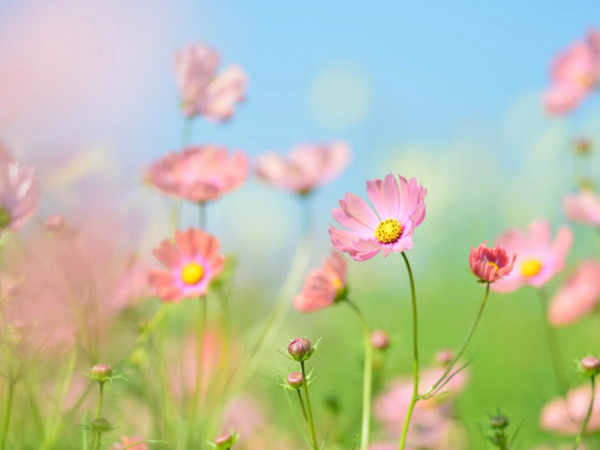 ありがとう😊千葉ルームにてお待ちしてます✨