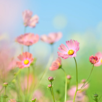 ありがとう😊千葉ルームにてお待ちしてます✨