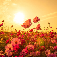 本日もありがとうございます😊