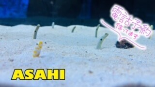 🈳あります‼️