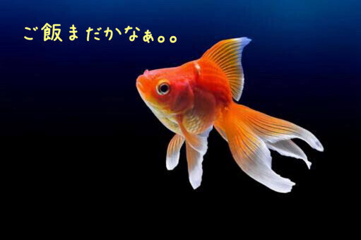 可愛い°ʚ(*´꒳`*)ɞ°.