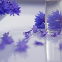 お疲れ様です☺