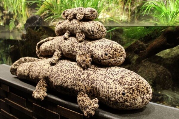 おはようございます