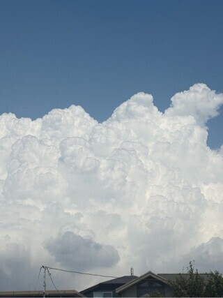気持ちよさそう🤭