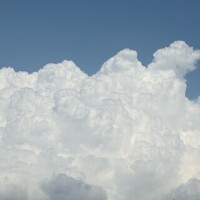 気持ちよさそう🤭